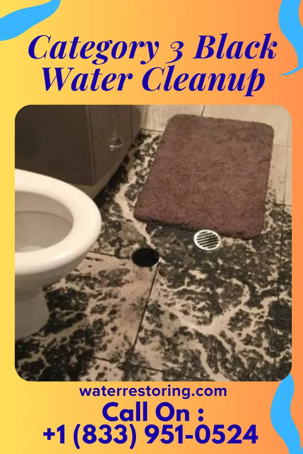 Category 3 Black Water Cleanup in Melrose, MA