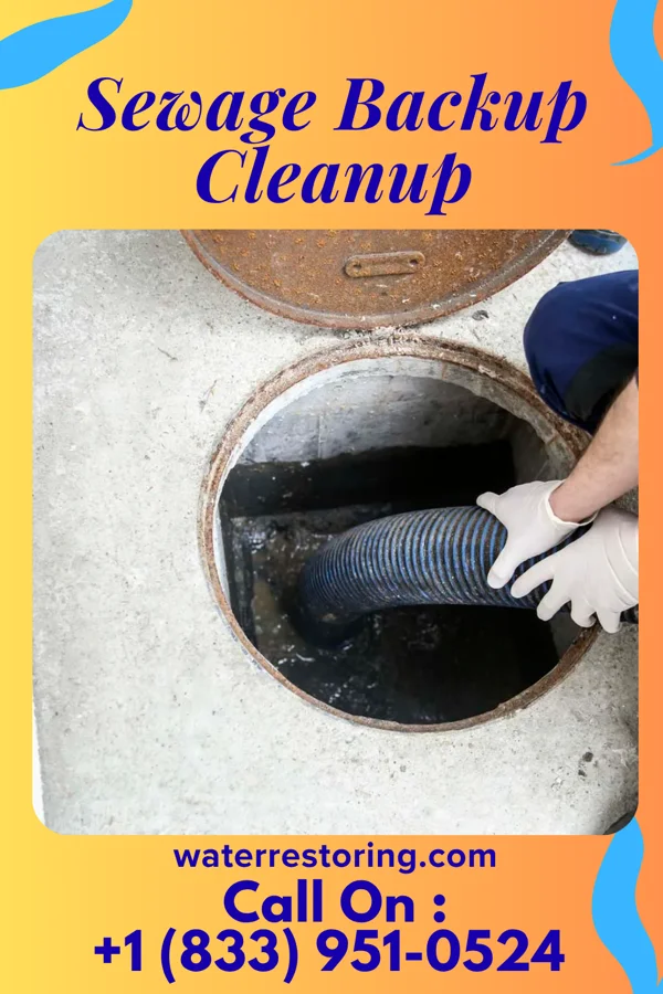 Sewage Backup Cleanup in Melrose, MA