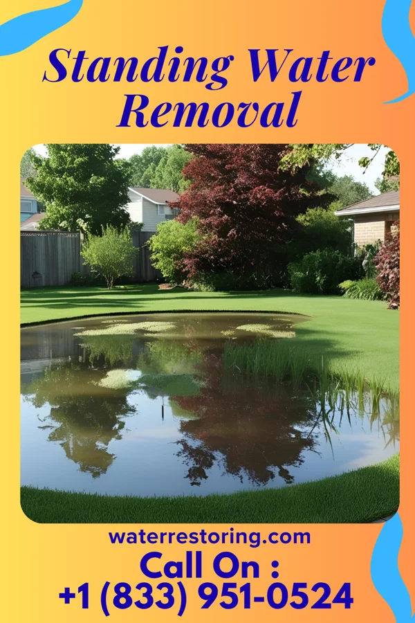 Standing Water Removal in Melrose, MA